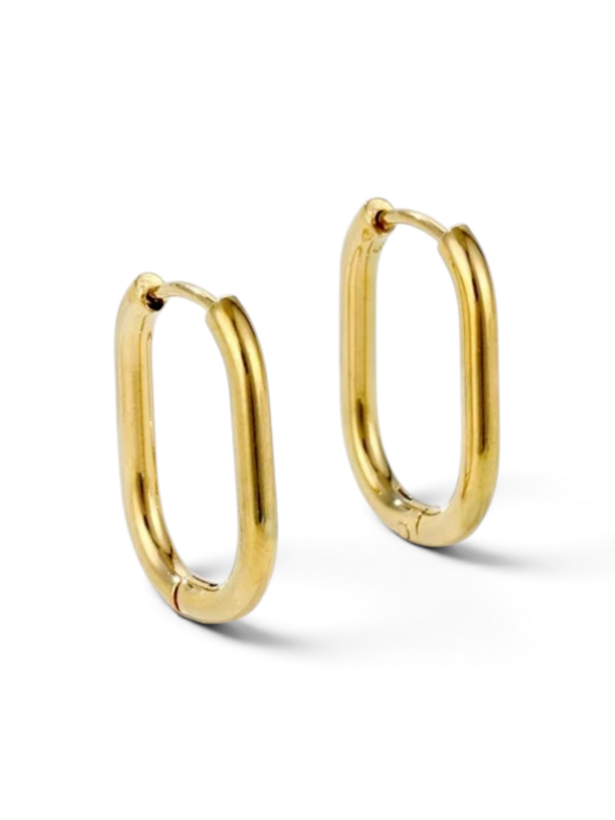 Gold Plated Earrings | Charms