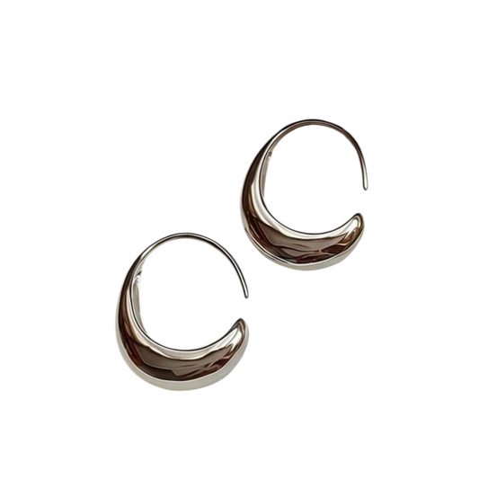 Curvy Silver Earrings
